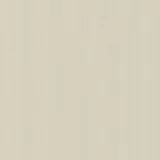 Porcelanato Natural Panna Plus 60x60 Caixa 1,44