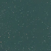 Porcelanato Polido Silex Veggie 90x90 Caixa 1,62