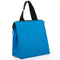 Sb Bolsa de Piquenique 22X22X13 D
