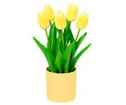 Sb Planta Art Tulipa Amarela