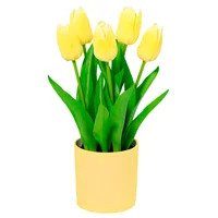 Sb Planta Art Tulipa Amarela