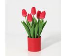 Sb Planta Art Tulipa Vermelhas