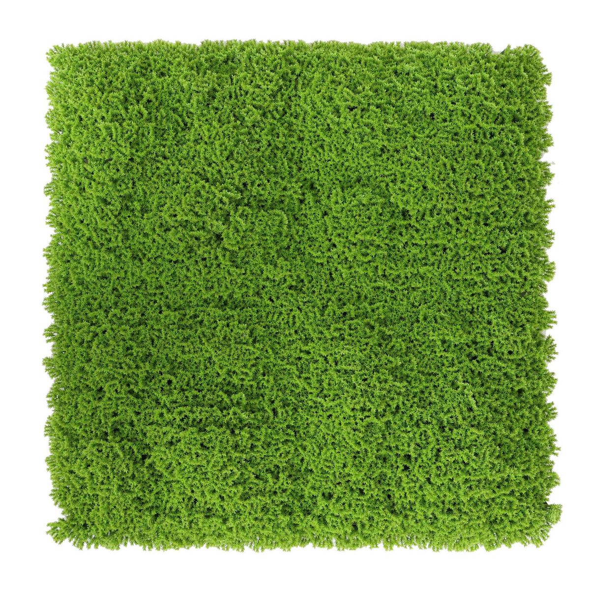 Jard Vert Palmeta Musgo 50X50, marca Just Home Collection - Foto Principal