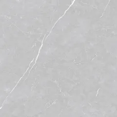 Porcelanato Retificado Acetinado Venato Argenta 120x120 Caixa 2,88 M²