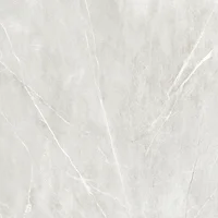 Piso R70731 Cinza Retificado Acetinado 70x70cm Triunfo Caixa 3,43m²