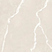 Piso Brilhante Hd 57131 58x58cm Caixa 2,32