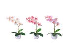 Planta Artificial Orquídea Variada Just Home Collection