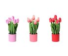 Planta Artificial Tulipã Variada Just Home Collection
