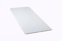 Forro Pvc Branco 6mm 200x600