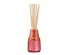 Difusor de Aromas Secar ¿ Elementos ¿ Fogo ¿ 100ml Secar