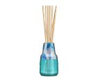 Difusor de Aromas Secar ¿ Elementos ¿ Água ¿ 100ml Secar