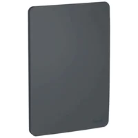 Placa 4x2 Cega Orion  Stellar Black Schneider