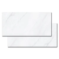Porcelanato Polido Retificado Frozen Lux Branco Interno 60x120cm Caixa 2,20 M² Biancogres