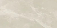 Porcelanato Polido Retificado Fuji Sand-r60 Interno 60x120cm Caixa 2,88 M² Delta Cerâmica