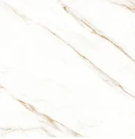 Porcelanato Polido Retificado Raggioro-90 Interno 90x90 Caixa 2,43m² Delta