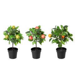 Planta Artificial com Frutas Just Home Collection