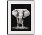 Quadro Elefante 40x50 Just Home Collection