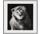 Quadro Leão 40X50 Just Home Collection