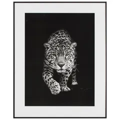 Quadro Leopardo 40x50 Just Home Collection