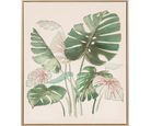 Quadro Folhas Plantas 2 40x60 Just Home Collection