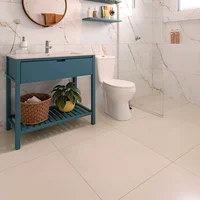 Porcelenato Retificado Polido Branco Paraná Interno 49x99cm Caixa  1,94 M² Elizabeth