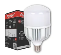 Led Bulbo Hp 150w 6500k Biv E40