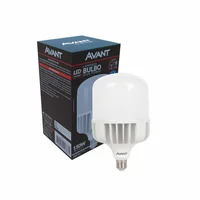 Led Bulbo Hp 150w 6500k Biv E40