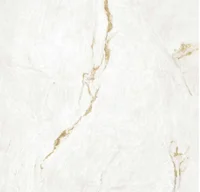 Porcelanato Retificado Polido Parana Gold White Interno/externo 120x120 Cm Caixa 1,44 M² Portinari