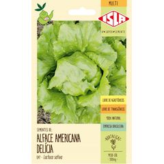 Semente Alface Delicia Americana Isla