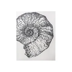Tela Concha Artist 40x50 Just Home Collection