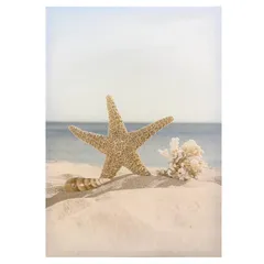 Tela Estrela Praia 40x60 Just Home Collection