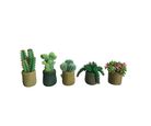 Cacto Artificial D11 Cm Just Home Collection