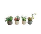 Suculenta Artificial D13 Cm Just Home Collection