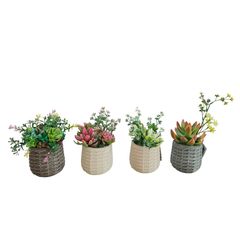 Suculenta Artificial D13 Cm Just Home Collection