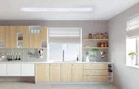 Luminaria Slim Lineare 1,20Cm 6500K