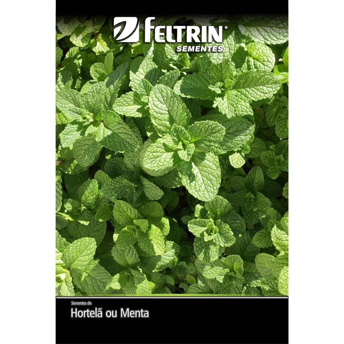 Semente Hortelã Menta Piperita Feltrin, marca  - Foto Principal
