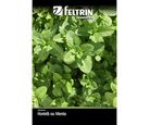 Semente Hortelã Menta Piperita Feltrin