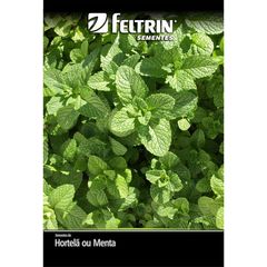 Semente Hortelã Menta Piperita Feltrin