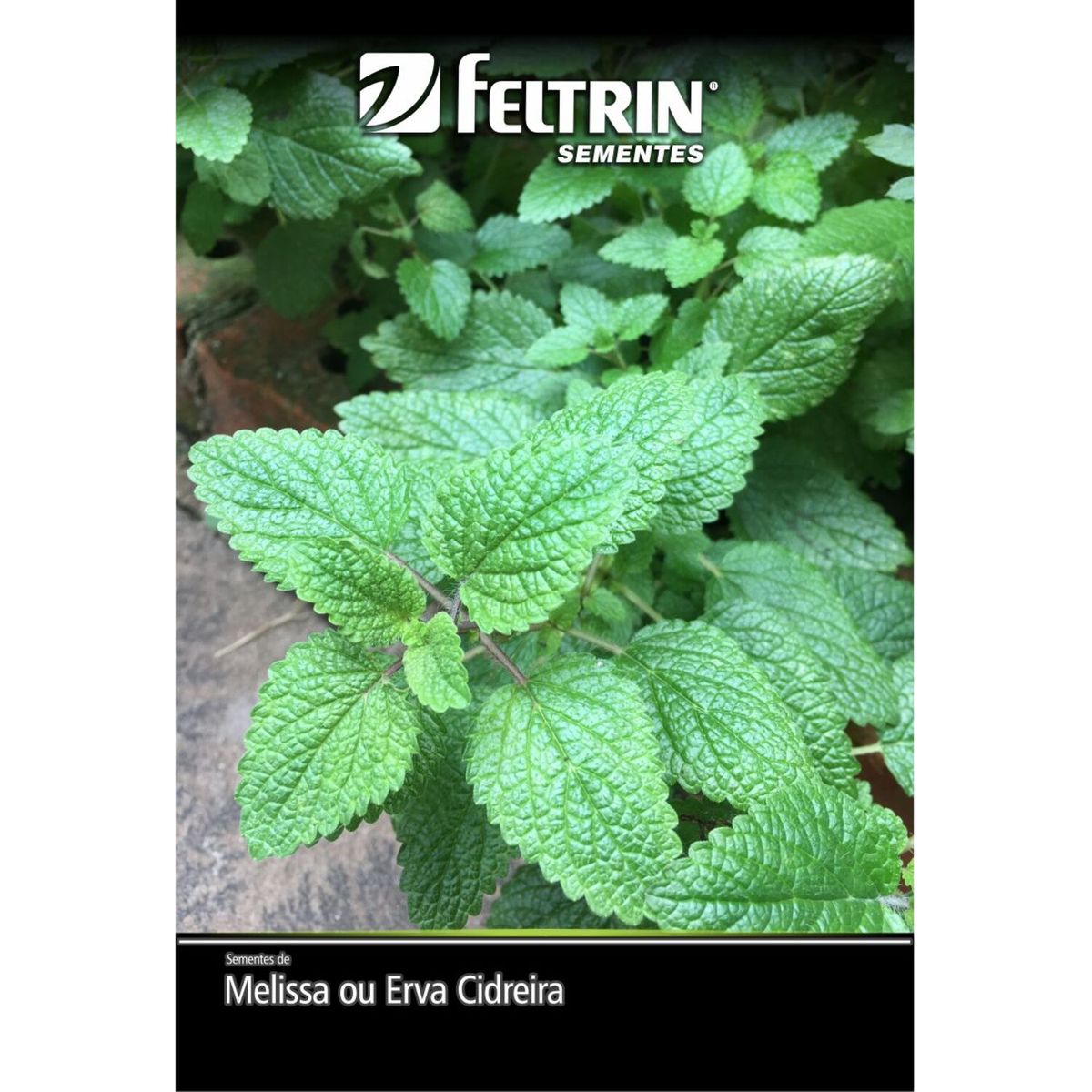 Semente Melissa Erva Cidreira Feltrin, marca  - Foto Principal