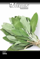 Semente Salvia Tempero Feltrin