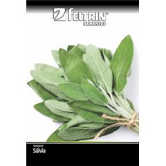 Semente Salvia Tempero Feltrin