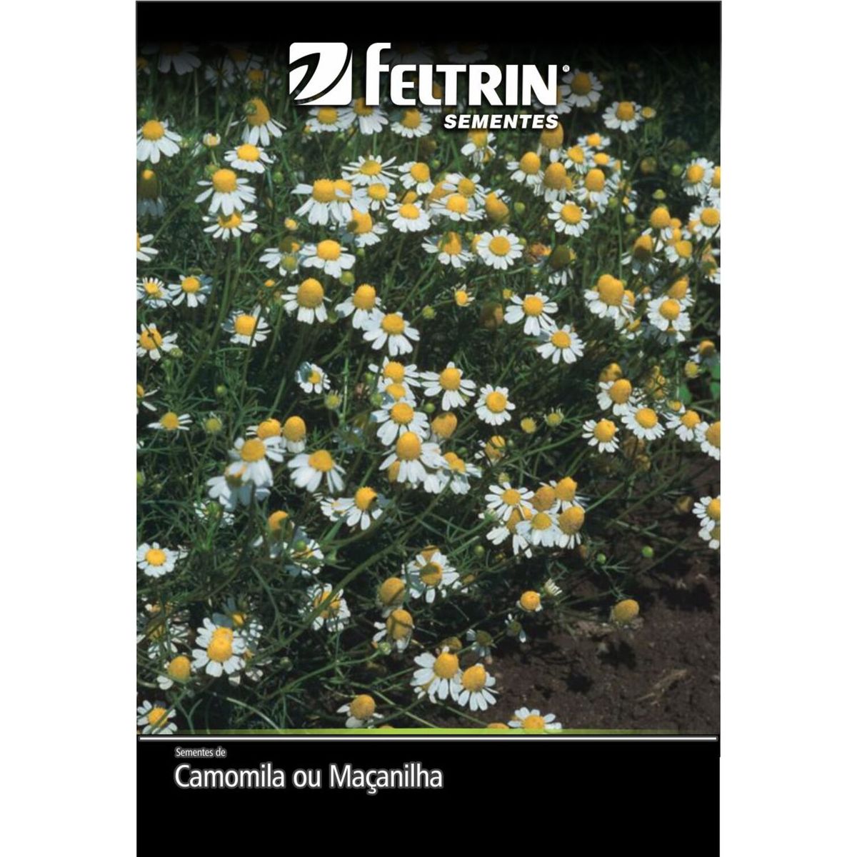 Semente Camomila Ou Macanilha Feltrin, marca  - Foto Principal