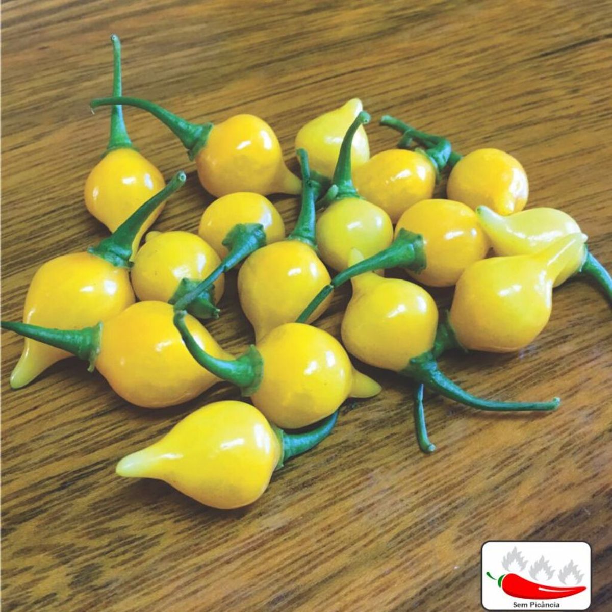 Semente Pimenta Guadalajara Feltrin, marca  - Foto Principal