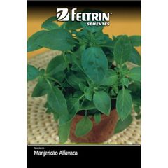 Semente Manjericão Alfavaca Verde Feltrin