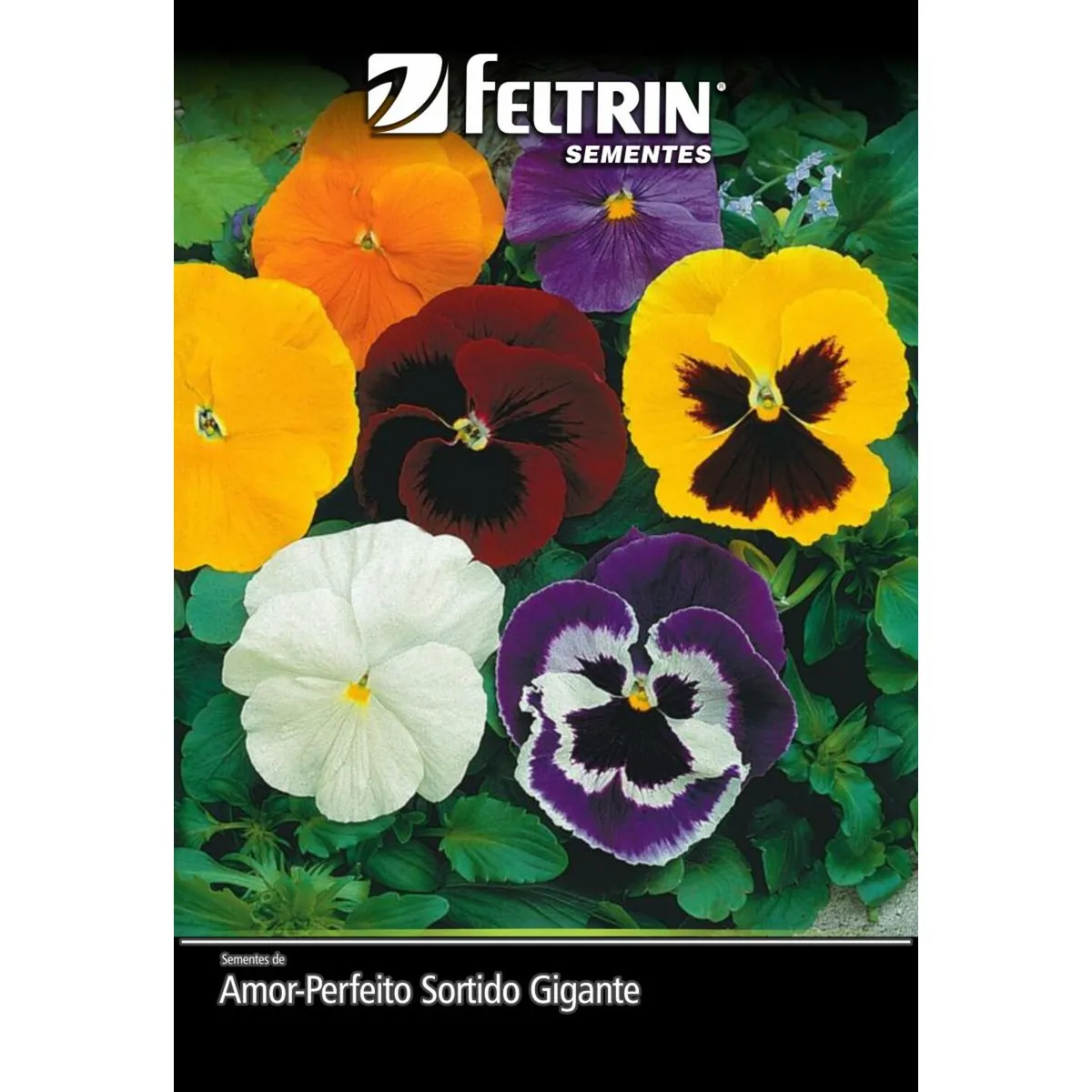 Semente Amor Perfeito Gigante Suiço Feltrin, marca  - Foto Principal