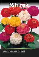 Semente Zinia Lilliput Pom-pom Feltrin
