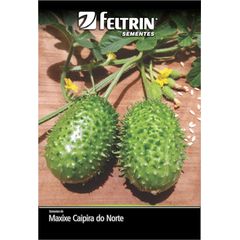 Semente Maxixe do Norte Feltrin