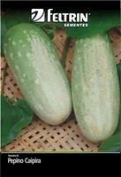 Semente de Pepino Esmeralda Tipo Caipira Feltrin