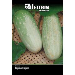 Semente de Pepino Esmeralda Tipo Caipira Feltrin