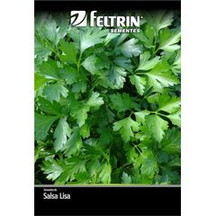 Semente Salsa Lisa Feltrin